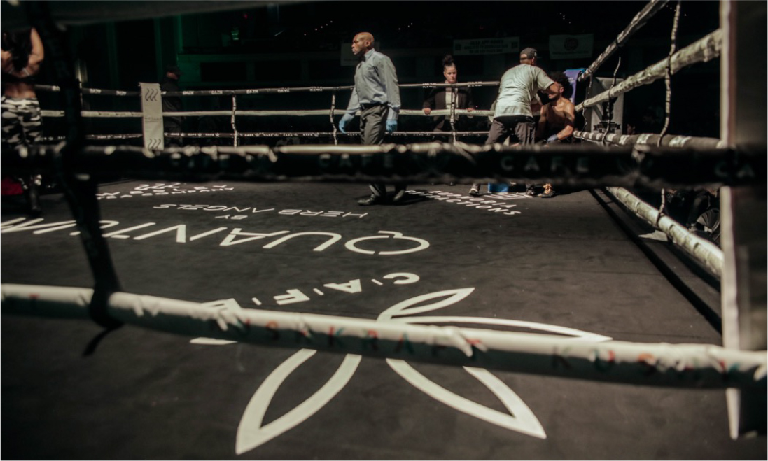 Boxing-Light-image-5