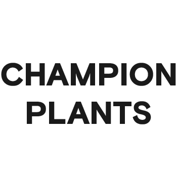 Champion Plants