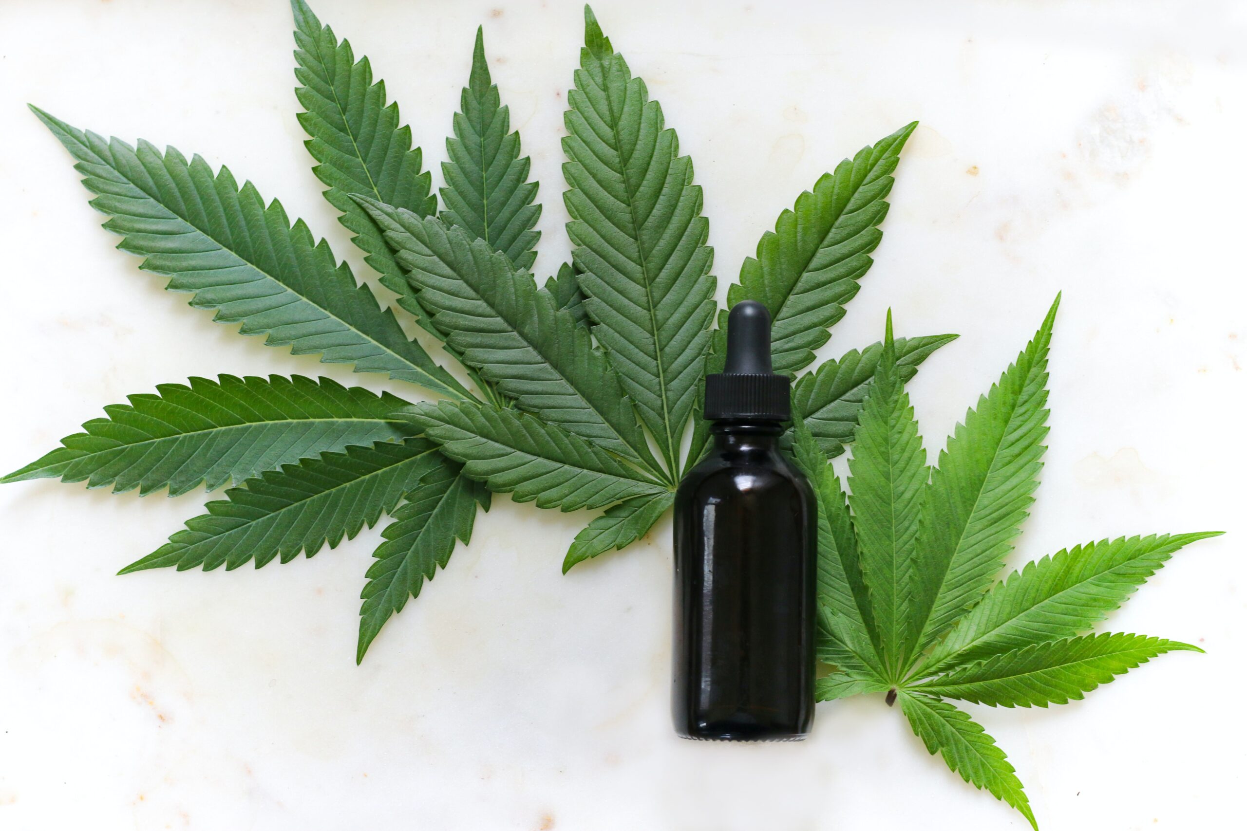 Tinctures 101: A Complete Guide to Cannabis Tincture